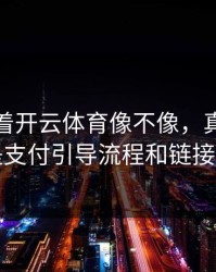 别只盯着开云体育像不像，真正要看的是支付引导流程和链接参数