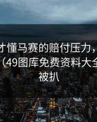 看回放才懂马赛的赔付压力，真相呼之欲出（49图库免费资料大全那张表被扒