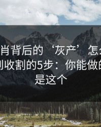 十二生肖背后的‘灰产’怎么运作：从引流到收割的5步：你能做的第一步是这个
