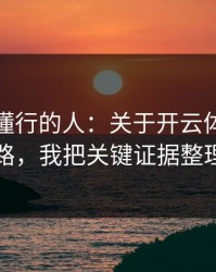 我问了懂行的人：关于开云体育的换皮页套路，我把关键证据整理出来了