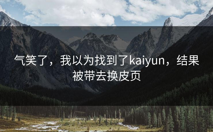 气笑了，我以为找到了kaiyun，结果被带去换皮页