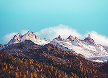 如果家人沉迷99tk香港相关内容,最有效的沟通方式是这6步:读完你会更清醒